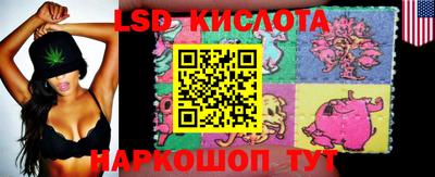СК Волгодонск