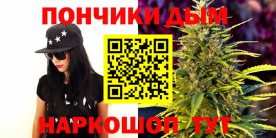 СК Волгодонск