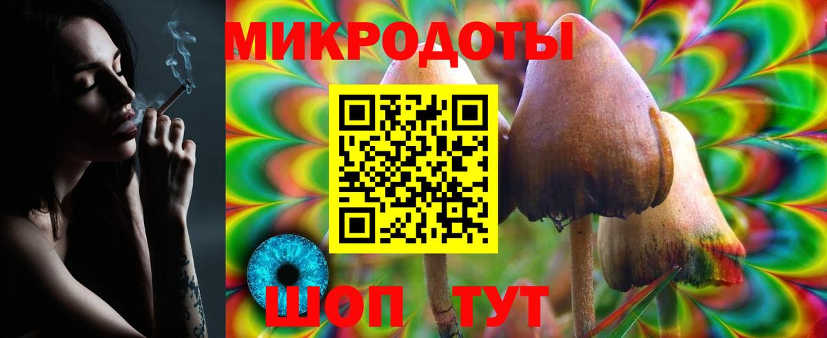 Галлюциногенные грибы прущие грибы  Вход с VPN  Новосибирск 